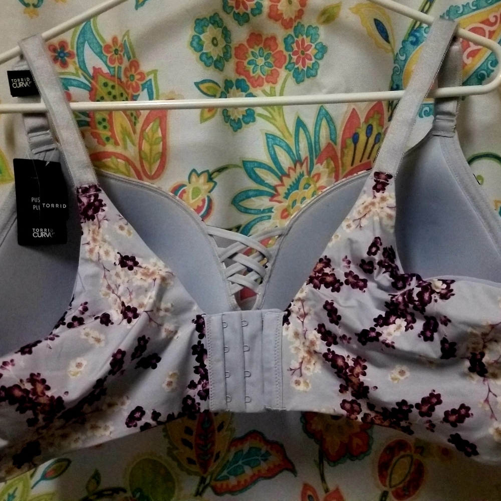 Torrid push up bra